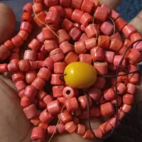 فروش مرجان کهنه دون 40هزار