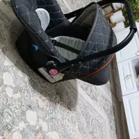 کریر|کالسکه و لوازم جانبی|کاشمر, |دیوار