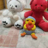 عروسک|اسباب‌‌بازی|رشت, فلسطین|دیوار