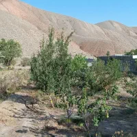 باغ ویلا|فروش خانه و ویلا|صوفیان, |دیوار