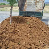 خاک باغچه و کود طبیعی باکیفیت برای باغچه،ماسه بادی|گل و گیاه طبیعی|شهریار, شهریار|دیوار