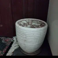 گلدان