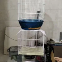 قفس پرنده|لوازم جانبی حیوانات|اصفهان, ملک‌شهر|دیوار