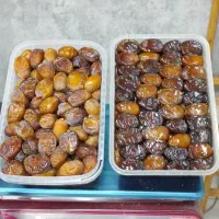 خرما رطب نخل طلایی