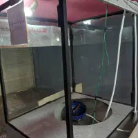 منقل واویشکا