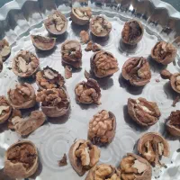 گردوی وهنان|خوردنی و آشامیدنی|بهار, |دیوار