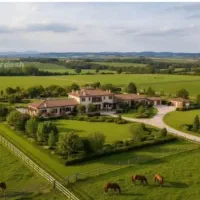 اجاره یا شراکت در کشت یونجه