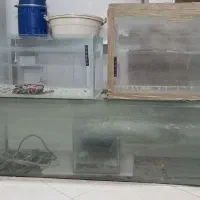 اکواریوم ۲ متری