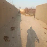 1000مترچهاردیوار