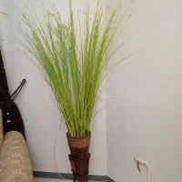 گل و گلدان فروشی