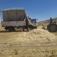 کاه گندم دیم درجه یک