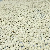 حلوا معجون تبریزی  نقل کنجدی  حلوابزرک  معجون عسلی|خوردنی و آشامیدنی|قم, باغ شریفی|دیوار