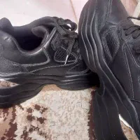 کفش دمپایی|کیف، کفش، کمربند|کنارک, |دیوار