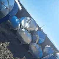 انواع تانکر منبع مخزن