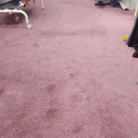 موکت کیفیت پالاز موکب