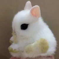 چشم اشکی اندازه کف دست