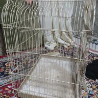 قفسه طوطی