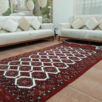 قالیچه دستباف|فرش|گمیشان, |دیوار