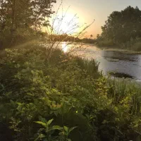 زمین با جواز ساخت با چشم انداز تالاب و باغات چای