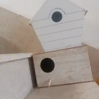 لونه