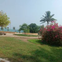 فروش واحد  یه  خواب(قشم گل محمدی۵)