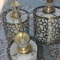 لوسترسه شاخه