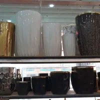 گلدون لوازم اشپزخانه|گل و گیاه طبیعی|سرپل ذهاب, |دیوار