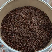 پخش  عمده قهوه