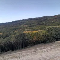 با مبلغ ۵۰۰میلیون چه شغلی ردیف کنم