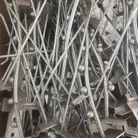 شاخک و رگال