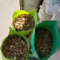 فروش موسیر ضایعات