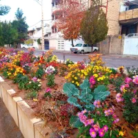 حواله خودرورانا پلاس تیوفایو