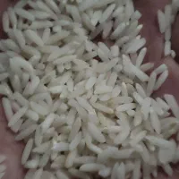 برنج دورود، نخود، لوبیا،|خوردنی و آشامیدنی|محلات, |دیوار