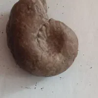 مجسمه