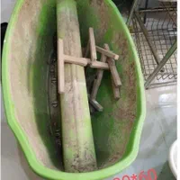 گلدان بزرگ