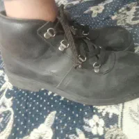 کفش|کیف، کفش، کمربند|تربت‌حیدریه, رضاشهر|دیوار