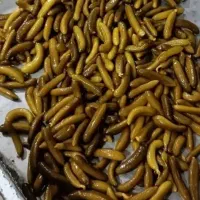 خیارشورو ترشیجات زاگرس|عمده‌فروشی|اهواز, زیتون کارمندی|دیوار
