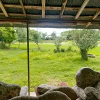 ویلای/ گلنگی /با 450 متر زمین/ در منطق آزاد انزلی