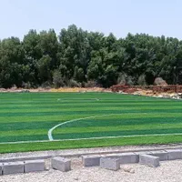 فروش و نصب حرفه چمن مصنوعی فوتبالی|خدمات باغبانی و درختکاری|تهران, سعادت‌آباد|دیوار