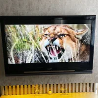 تلویزیون LCD|تلویزیون و پروژکتور|تهران, صادقیه|دیوار