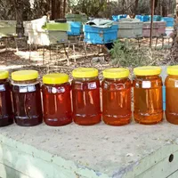 عسل طبیعی چهل گیاه،آویشن،گشنیز،کنار،بهارنارنج|خوردنی و آشامیدنی|تهران, حر|دیوار