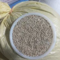 جومحلی