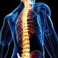 مرحم گیاهی برای گرفتگی کانال نخاع ودیسک کمر ومفاصل|آرایشی، بهداشتی، درمانی|رفسنجان, |دیوار