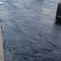 نصب ایزوگام قیرگونی ،و پخش آسفالت،