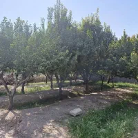 چهاردیواری-850متری-شهریار-دهشاد-میدان-نماز-صباشهر