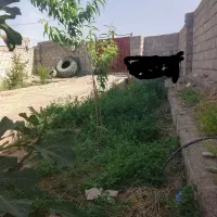 ویلا فروشی آبگرم جوشان