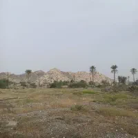 فروش یک هکتار زمین زراعی