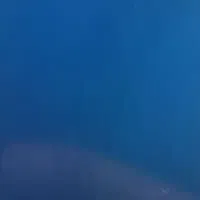 سیمکارت