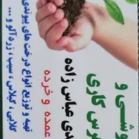 نهال وگل فروشی وهرس کاری|گل و گیاه طبیعی|اردبیل, |دیوار