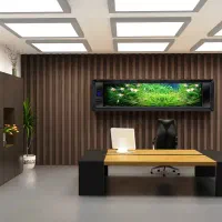 استخدام منشی آقا